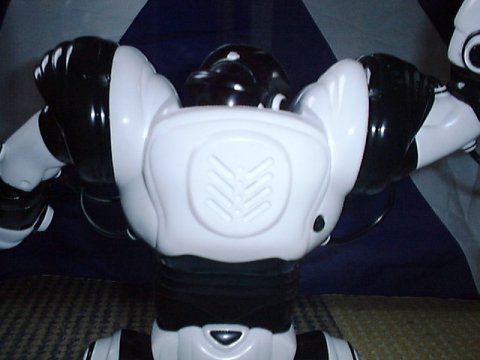 back of Robosapien