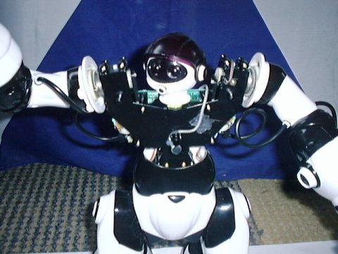 Robosapien with chest and back shell removed (front)